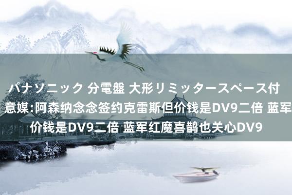パナソニック 分電盤 大形リミッタースペース付 露出・半埋込両用形 意媒:阿森纳念念签约克雷斯但价钱是DV9二倍 蓝军红魔喜鹊也关心DV9