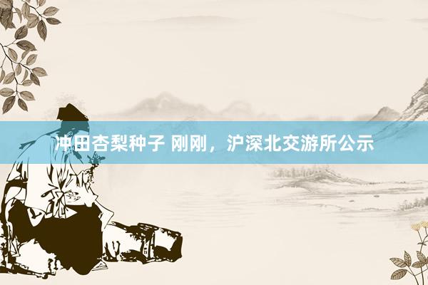 冲田杏梨种子 刚刚，沪深北交游所公示