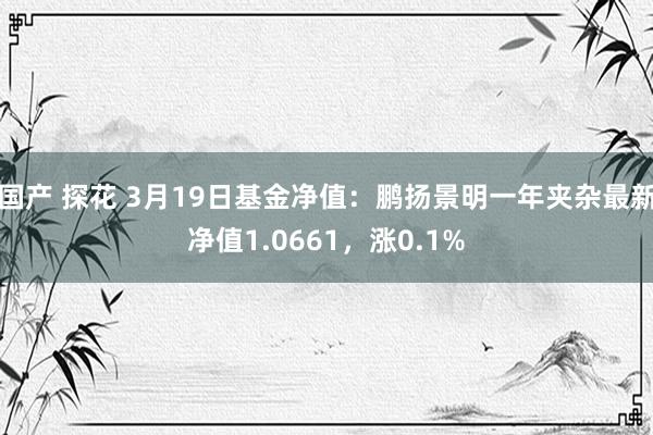 国产 探花 3月19日基金净值：鹏扬景明一年夹杂最新净值1.0661，涨0.1%