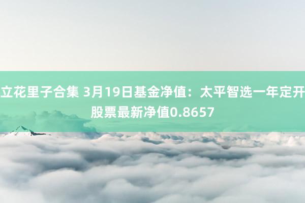 立花里子合集 3月19日基金净值：太平智选一年定开股票最新净值0.8657