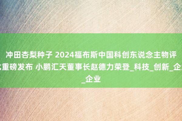 冲田杏梨种子 2024福布斯中国科创东说念主物评比重磅发布 小鹏汇天董事长赵德力荣登_科技_创新_企业
