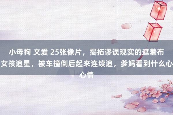 小母狗 文爱 25张像片，揭拓谬误现实的遮羞布，女孩追星，被车撞倒后起来连续追，爹妈看到什么心情