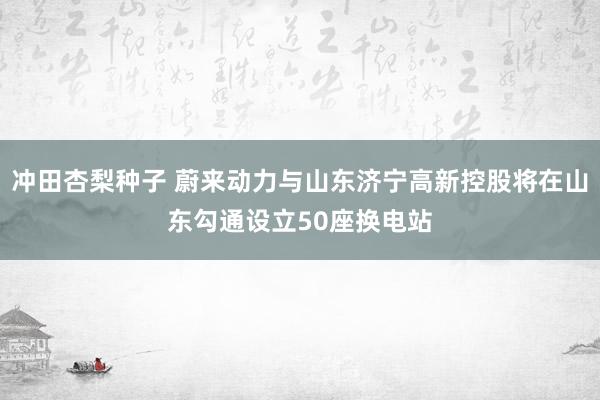 冲田杏梨种子 蔚来动力与山东济宁高新控股将在山东勾通设立50座换电站