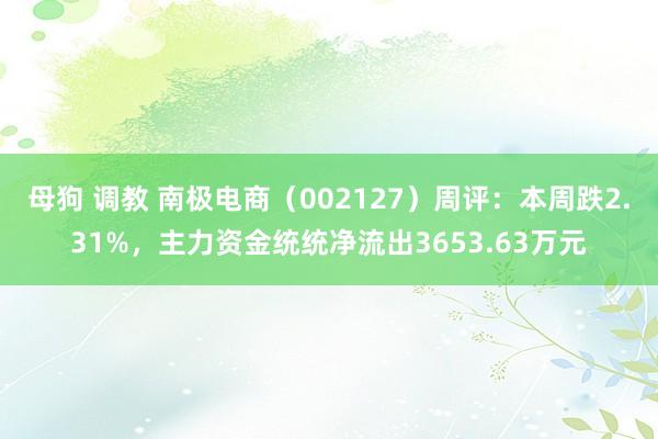 母狗 调教 南极电商（002127）周评：本周跌2.31%，主力资金统统净流出3653.63万元