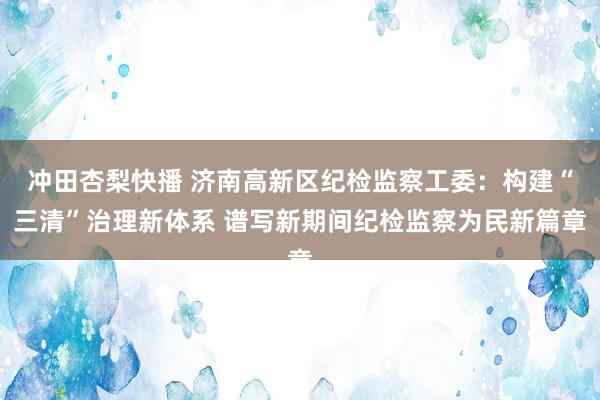 冲田杏梨快播 济南高新区纪检监察工委：构建“三清”治理新体系 谱写新期间纪检监察为民新篇章
