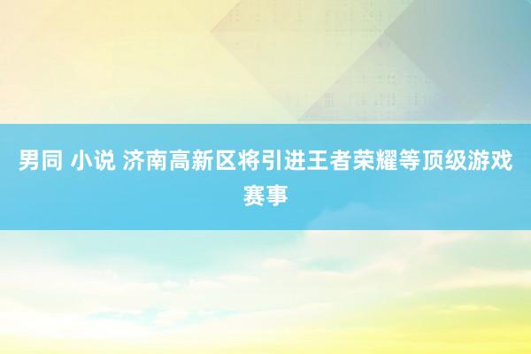 男同 小说 济南高新区将引进王者荣耀等顶级游戏赛事