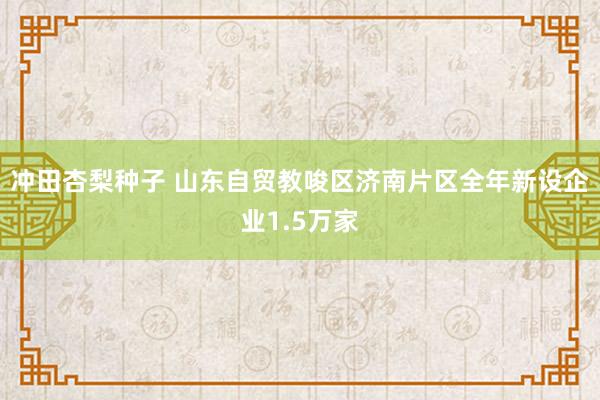 冲田杏梨种子 山东自贸教唆区济南片区全年新设企业1.5万家