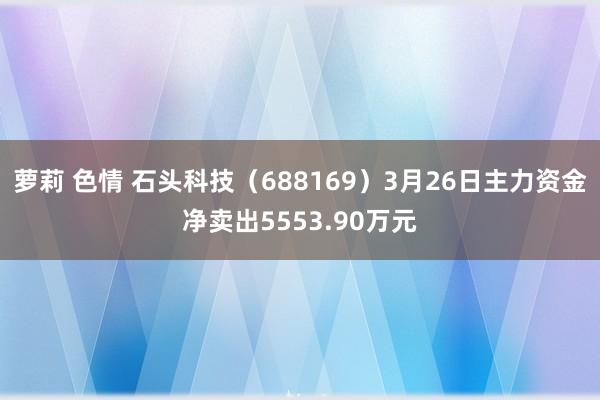 萝莉 色情 石头科技（688169）3月26日主力资金净卖出5553.90万元