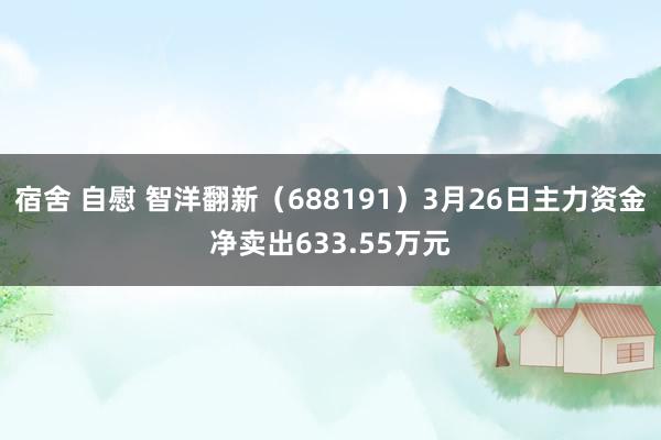 宿舍 自慰 智洋翻新（688191）3月26日主力资金净卖出633.55万元