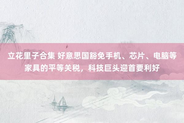 立花里子合集 好意思国豁免手机、芯片、电脑等家具的平等关税，科技巨头迎首要利好
