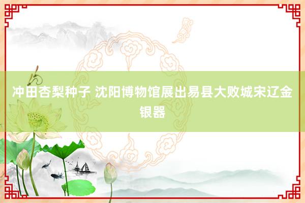 冲田杏梨种子 沈阳博物馆展出易县大败城宋辽金银器