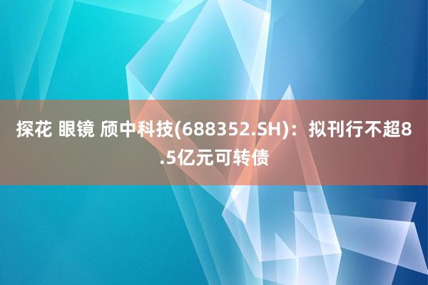 探花 眼镜 颀中科技(688352.SH)：拟刊行不超8.5亿元可转债