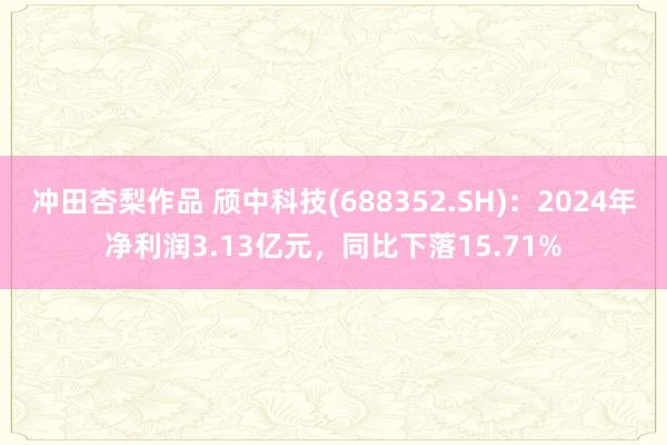 冲田杏梨作品 颀中科技(688352.SH)：2024年净利润3.13亿元，同比下落15.71%