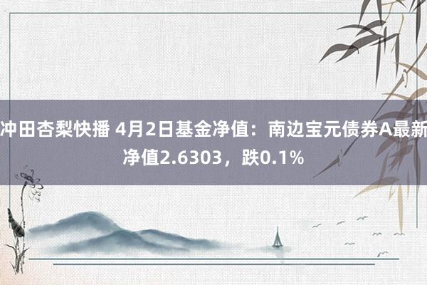 冲田杏梨快播 4月2日基金净值：南边宝元债券A最新净值2.6303，跌0.1%