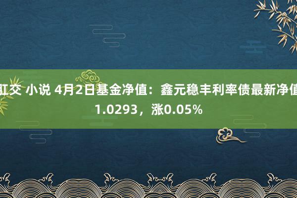 肛交 小说 4月2日基金净值：鑫元稳丰利率债最新净值1.0293，涨0.05%