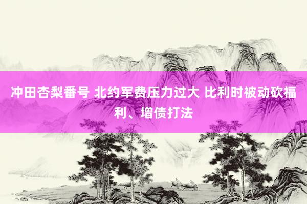冲田杏梨番号 北约军费压力过大 比利时被动砍福利、增债打法