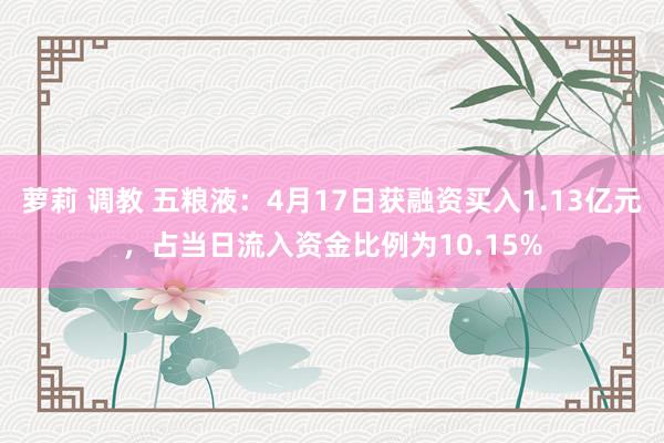 萝莉 调教 五粮液：4月17日获融资买入1.13亿元，占当日流入资金比例为10.15%