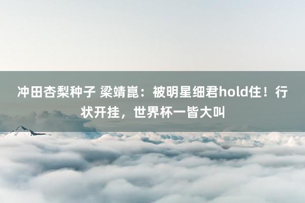 冲田杏梨种子 梁靖崑：被明星细君hold住！行状开挂，世界杯一皆大叫