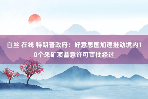 白丝 在线 特朗普政府：好意思国加速推动境内10个采矿项蓄意许可审批经过