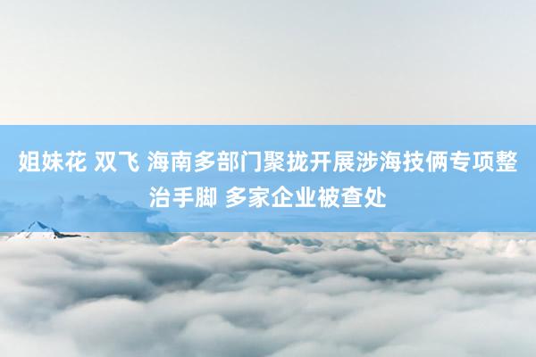 姐妹花 双飞 海南多部门聚拢开展涉海技俩专项整治手脚 多家企业被查处