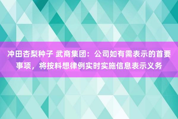 冲田杏梨种子 武商集团：公司如有需表示的首要事项，将按料想律例实时实施信息表示义务