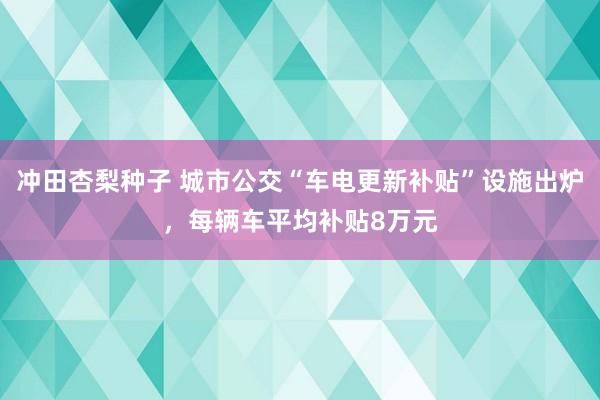 冲田杏梨种子 城市公交“车电更新补贴”设施出炉，每辆车平均补贴8万元