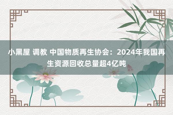 小黑屋 调教 中国物质再生协会：2024年我国再生资源回收总量超4亿吨