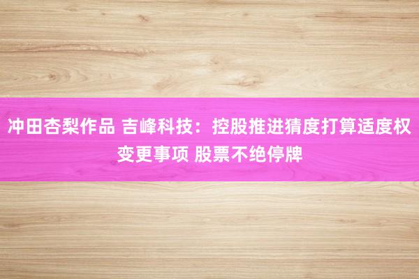 冲田杏梨作品 吉峰科技：控股推进猜度打算适度权变更事项 股票不绝停牌