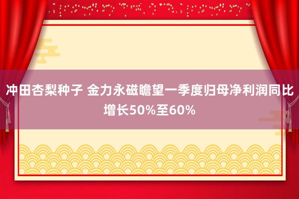 冲田杏梨种子 金力永磁瞻望一季度归母净利润同比增长50%至60%