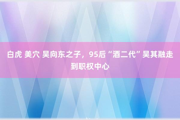 白虎 美穴 吴向东之子，95后“酒二代”吴其融走到职权中心