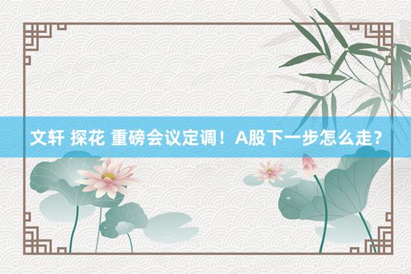 文轩 探花 重磅会议定调！A股下一步怎么走？